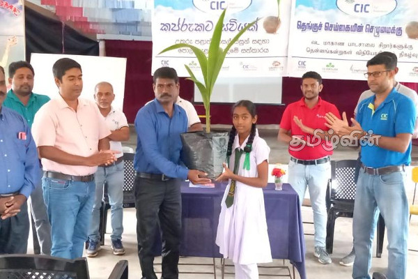 மன்னாரில் ஆரம்பித்து வைக்கப்பட்ட தென்னை முக்கோண வலயம் | Coconut Triangle Zone Was Established In Mannar