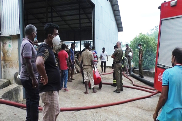 கண்டி தேயிலை தொழிற்சாலையில் தீ விபத்து! - ஐபிசி தமிழ்