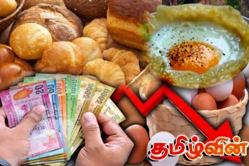 முட்டை உணவுகளின் விலை தொடர்பில் வெளியான தகவல்!