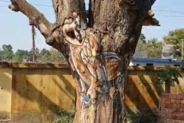 மரங்களில் கை வண்ணம் காட்டிய ஓவியர்... - வைரலாகும் புகைப்படம்...!