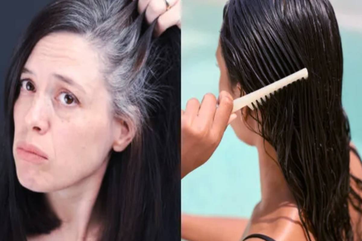 இனி நரைமுடிக்கு இரசாயன சாயம் எதற்கு? இந்த பொடியை பாலுடன் கலந்து பூசுங்க | Hair Dye Milk Charcoal Turn White Hair Into Black இனி நரைமுடிக்கு இரசாயன சாயம் எதற்கு? இந்த பொடியை பாலுடன் கலந்து பூசுங்க | Hair Dye Milk Charcoal Turn White Hair Into Black