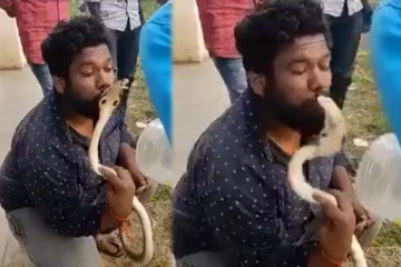 பாம்பிற்கு முத்தம் கொடுத்த நபர்! இறுதியில் பட்ட அவஸ்தையை பாருங்க