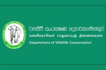 ආයේ මේ සත්තුන්ට කෑම දුන්නොත් දඩ - වනජීවී සංරක්ෂණ දෙපාර්තමේන්තුවේ නීතිය සැර වෙයි