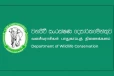 ආයේ මේ සත්තුන්ට කෑම දුන්නොත් දඩ - වනජීවී සංරක්ෂණ දෙපාර්තමේන්තුවේ නීතිය සැර වෙයි