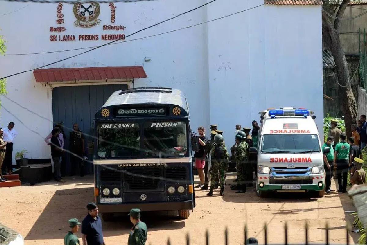 இலங்கையில் டெங்கு நோயின் வீரியம் அதிகரிப்பு; இனியும் வேடிக்கை பார்க்கப்போகிறீர்களா - சமல் சஞ்சீவ சாடல் | Dengue Surges Samal Sanjeeva Issues Warning இலங்கையில் டெங்கு நோயின் வீரியம் அதிகரிப்பு; இனியும் வேடிக்கை பார்க்கப்போகிறீர்களா - சமல் சஞ்சீவ சாடல் | Dengue Surges Samal Sanjeeva Issues Warning