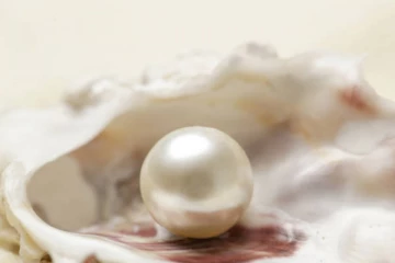 உலகின் மிகவும் மதிப்புமிக்க முத்துக்கள் என்னென்ன?