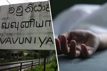 மரத்தில் இருந்து வீழ்ந்து குடும்பஸ்தர் மரணம்