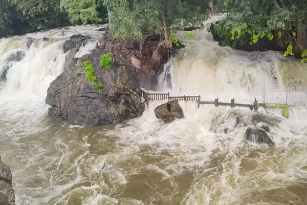 கனமழை காரணமாக திறக்கப்படவுள்ள வான்கதவுகள்! | Water Capacity Exceeds Of 50 Irrigation Department