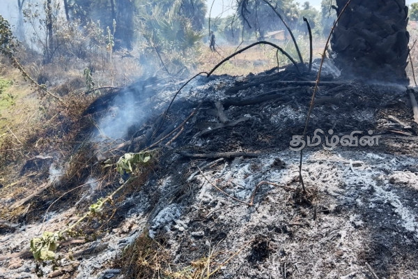 மட்டக்களப்பு தொடருந்து நிலையத்திற்கு சொந்தமான காணியில் தீ விபத்து | Fire Land Belonging To Batticaloa Railway Station