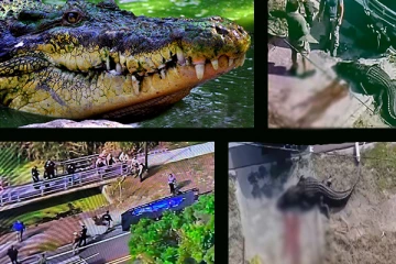 13 அடி நீள இராட்சச முதலை: சுட்டு கொன்ற புளோரிடா அதிகாரிகள்