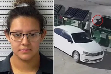 தொப்புள் கொடி கூட அகற்றப்படாத குழந்தையை குப்பைத்தொட்டியில் வீசும் தாய்... கமெராவில் சிக்கிய அதிரவைக்கும் காட்சி