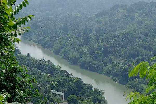 கிவுல் ஓயாவால் ஆபத்தை உணராத மட்டக்களப்பு பண்ணையாளர்கள்! | Kivu Oya And Mayilathamadu Mahaweli Development கிவுல் ஓயாவால் ஆபத்தை உணராத மட்டக்களப்பு பண்ணையாளர்கள்! | Kivu Oya And Mayilathamadu Mahaweli Development