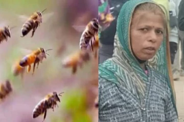 தேனீக்களிடமிருந்து 20 குழந்தைகளை காப்பாற்ற உயிர் தியாகம் செய்த பெண்