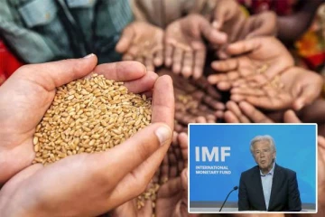உலகின் கோதுமை தேவையை தீர்க்க...தடையை நீக்கிய இந்தியா: சர்வதேச நிதியம் வரவேற்பு!