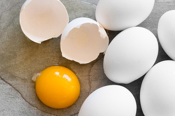 உலக முட்டைகள் தினம்! முட்டை பற்றி கட்டாயம் நாம் அறிந்திருக்க வேண்டியது | World Egg Day In Tamil