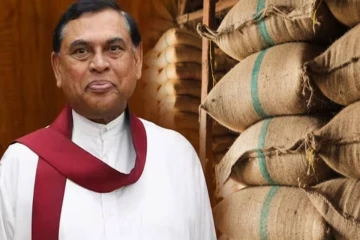 பசில் ராஜபக்சவுடனான கூட்டணியில் நெல் சந்தைப்படுத்தலில் மோசடி - விலைப்போன அரசாங்கம்