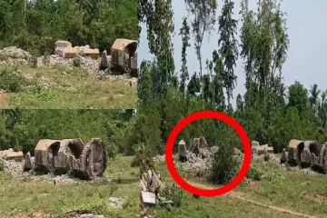 காங்கேசன்துறை துறைமுக அதிகார சபையில் தொடரும் திருட்டுச்சம்பவம்: மக்கள் விசனம்(படங்கள்)