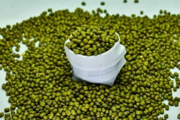 அடிக்கடி கொஞ்சம் பாசிப்பயறு சாப்பிடுவதால் என்ன நடக்கும் தெரியுமா?