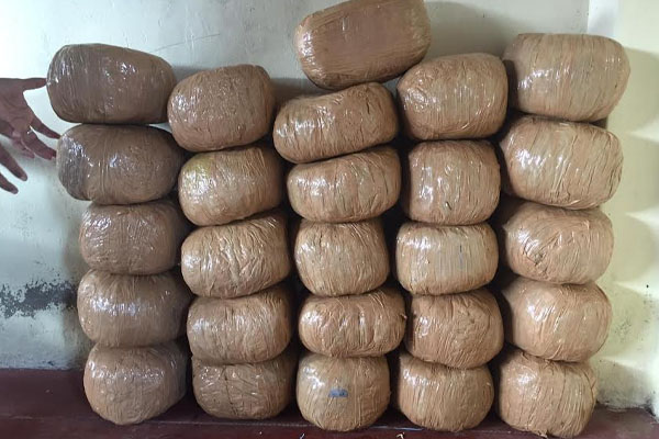 யாழில் காட்டுப்பகுதியிலிருந்து மீட்கப்பட்ட பொருள் | Material Recovered From Jungle In Jaffna