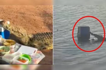 குளிர்பான பெட்டியை திருடிய ராட்ஷச முதலை! உறைந்து போன சுற்றுலா பயணிகள்: வீடியோ