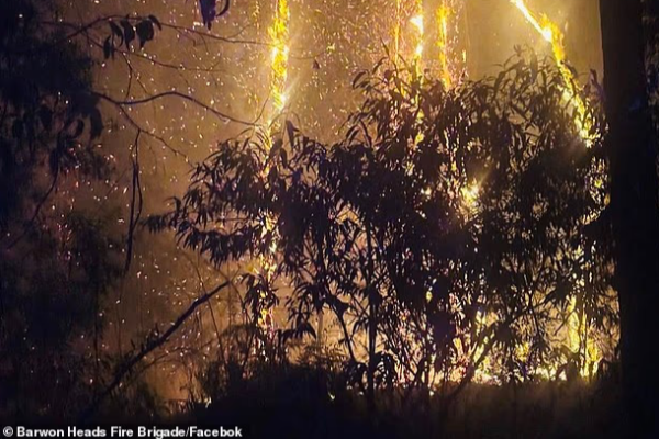 otways bushfire urges leave now warning