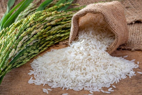 அடுத்த ஆண்டு அரிசி இறக்குமதி செய்யபடமாட்டாது - விவசாய அமைச்சு அறிவிப்பு | Food Price Sri Lanka Rice Import Cut Next Year