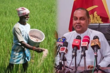 பெரும்போகத்தில் இலவச யூரியா பசளை மூடைகள் விநியோகம்