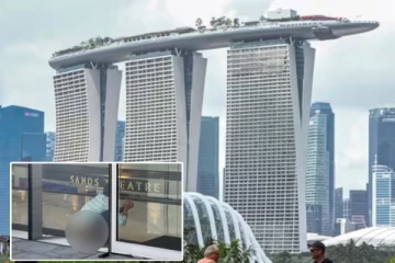 சிங்கப்பூர் ஷாப்பிங் மால் வாசலில் மலம் கழித்த இந்திய தொழிலாளி: விதிக்கப்பட்ட பெரும் அபராதம்