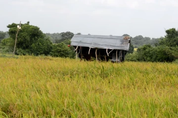 எரிபொருள் இல்லாத காரணத்தினால் பரிதாபமாக உயிரிழந்த விவசாயி