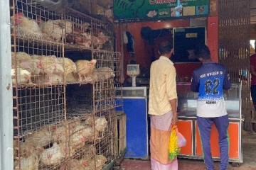 மன்னாரில் சடுதியாக குறைந்துள்ள கோழி இறைச்சியின் விலை