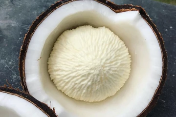 மரணத்தை உண்டாக்கும் கொடூர நோயையும் தடுக்கும் தேங்காய்ப்பூ!