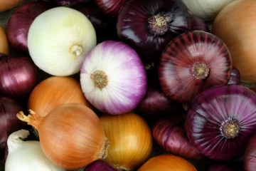 மழைக்காலத்தில் வெங்காயத்தில் ஒளிந்திருக்கும் ஆபத்து!