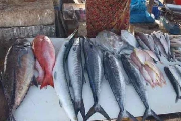 யாழ் சுன்னாகம் மீன் சந்தையில் இடம்பெறும் மோசமான செயல்கள்!