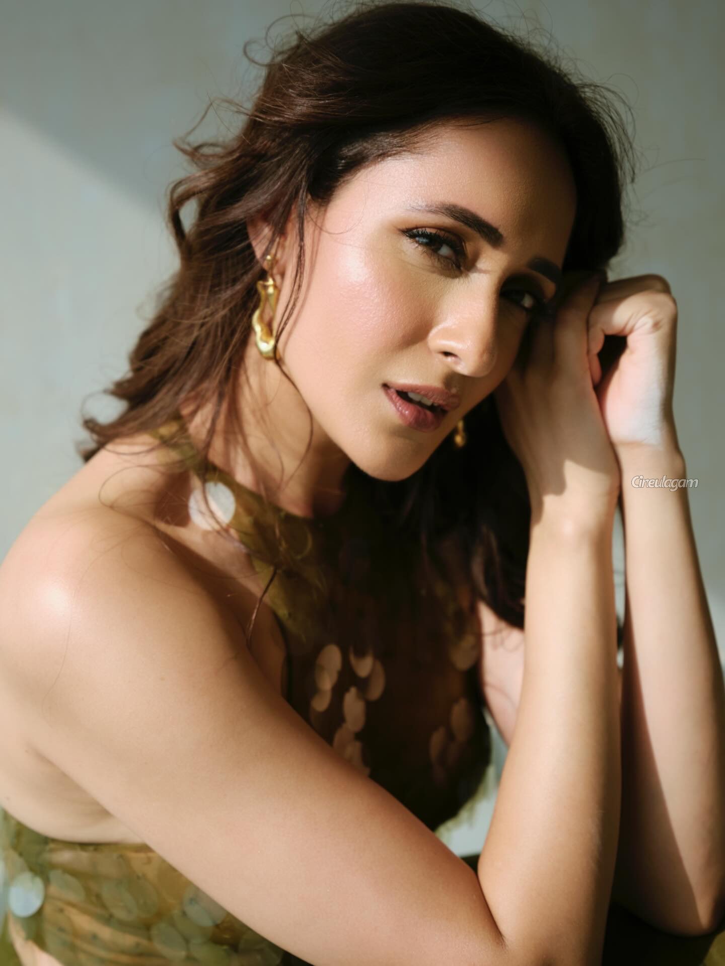 நடிகை பிரக்யா ஜெய்ஷ்வால் ட்ரான்ஸ்பரென்ட் உடையில் ஹாட் போட்டோஷூட் 4 Gallery