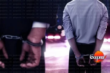 රජයේ හිටපු ලොක්කෝ දෙන්නෙක්ට වැඩ වරදී