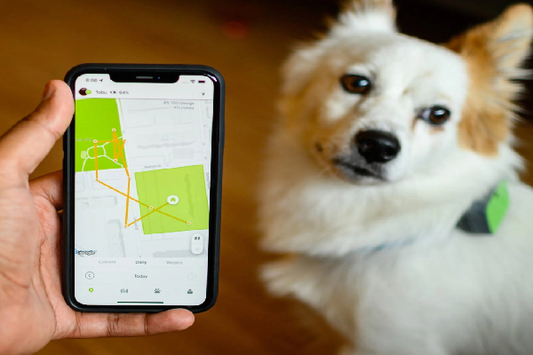 இலங்கையில் முதன் முதலாக விலங்குகளுக்காக புதிய செயலி! | A New App For Animals First In Sri Lanka