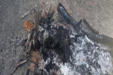 எரிந்த நிலையில் சடலமொன்றின் எச்சங்கள் கண்டுபிடிப்பு