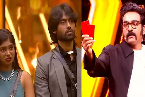 Bigg Boss: இந்த சீசனை ஆண்ட அரசி! ரெட் கார்டுடன் வெளியேறிய பாருவின் வைரல் பதிவு | Biggboss Red Card Eviction Paaru New Post Viral