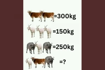 Brain Teaser Maths: வினாக்குறி இருக்குமிடத்தில் என்ன விடை வரும்?