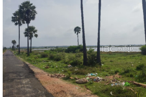 யாழ். அராலி வீதியோரத்தில் ஆபத்தான நிலையில் பனைமரம் - உயிர் அச்சத்தில் பயணிகள் | Palmera Tree In Dangerous Condition Aralli Road யாழ். அராலி வீதியோரத்தில் ஆபத்தான நிலையில் பனைமரம் - உயிர் அச்சத்தில் பயணிகள் | Palmera Tree In Dangerous Condition Aralli Road