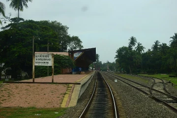 யாழில் கோர விபத்து - ஒரே குடும்பத்தை சேர்ந்த 3 பேர் பாதிப்பு