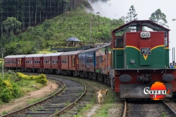 මේ මඟීන්ට දුම්රිය දෙපාර්තමේන්තුවෙන් දැනුවත් කිරීමක්