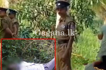 කිරි අලෙවිසැලේ මුරකරුගේ ඝාතකයා සැඟව සිටියදී සොයා ගැනුණු තැන.