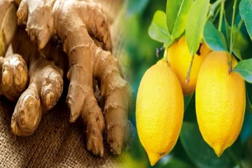 விண்ணைத்தொடும் விலை அதிகரிப்பு: 3000 ரூபாயாக அதிகரித்த எலுமிச்சை மற்றும் இஞ்சி விலை