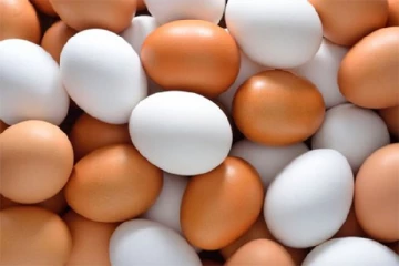 முட்டையால் எழுந்துள்ள சிக்கல் - நிறுத்தப்பட்ட வியாபாரம்