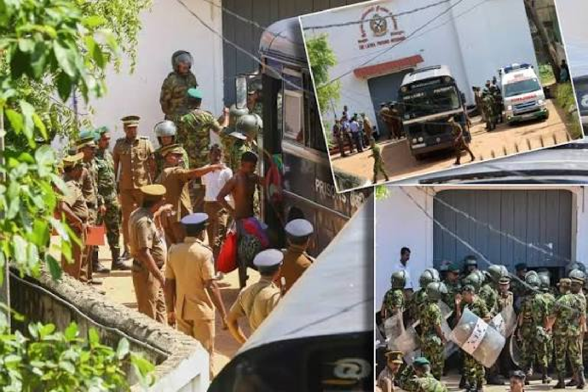 நீர்கொழும்பு சிறைச்சாலை மோதல்; ஜன்னல் வழி துப்பாக்கிச்சூடு நடத்திய அதிகாரிகள்..! எழுப்பப்பட்டுள்ள கேள்வி | Negombo Prison Clash 27 Death