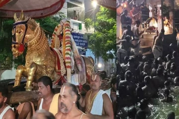 காஞ்சிபுரம் வரதராஜ பெருமாள் கோவிலில் தீர்த்தவாரி வசந்த உற்சவம்