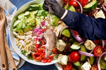 ஹொட்டலில் உணவு வாங்கிய இளம்பெண்கள் கண்ட அதிரவைக்கும் காட்சி: ஒரு மாகாணத்தையே பரபரப்பாக்கிய நிகழ்வு