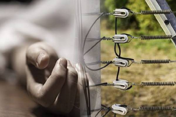 விலங்குகளுக்கு வைத்த மின்சார வேலியில் சிக்கி பரிதாபமாக உயிரிழந்த தம்பதியினர் | Couple Dies Getting Caught Electric Fence Animals