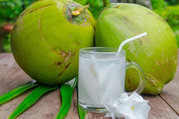 தேங்காய் உள்ளே இருக்கும் தண்ணீர் எங்கிருந்து வருகிறது தெரியுமா?